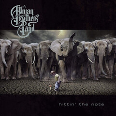 The Allman Brothers Band / Hittin' The Note (2LP)
