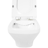 Унитаз подвесной безободковый BelBagno SELA BB3201CHR