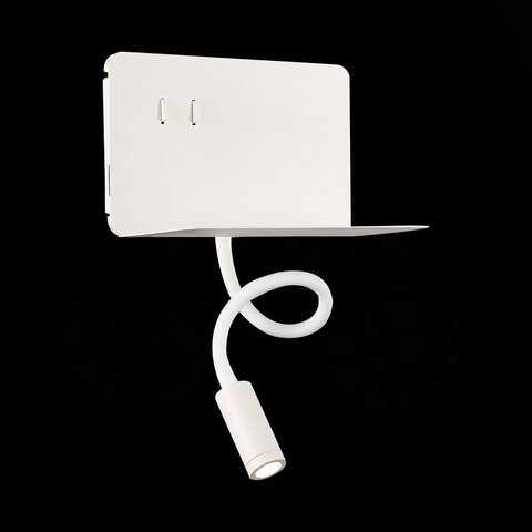 Светильник настенный ST Luce Pinaggio SL1576.501.02
