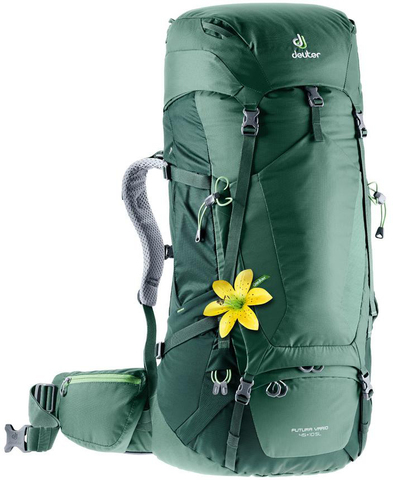 Картинка рюкзак туристический Deuter Futura Vario 45+10 Sl Seagreen/Forest - 1