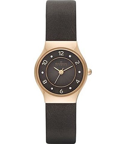 Наручные часы Skagen SKW2208 фото