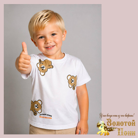 Футболка хлопок м (2-5) 260416-N649