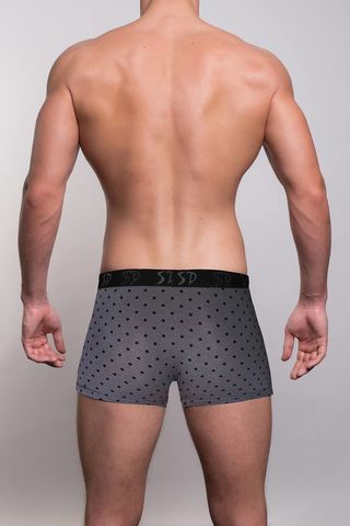 Мужские трусы 1105 Grey Salvador Dali