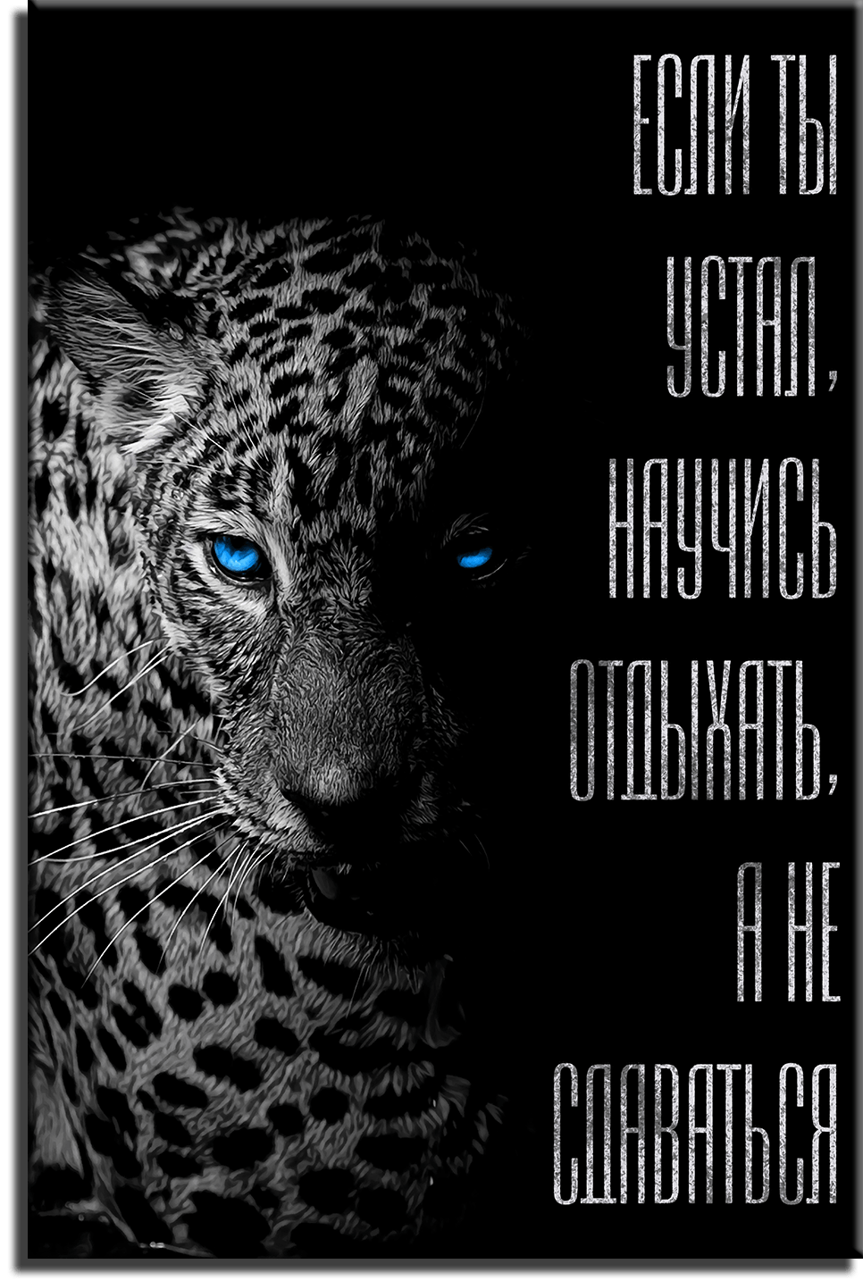 Постеры Постер "Леопард. Мотивация" п0569-min.png