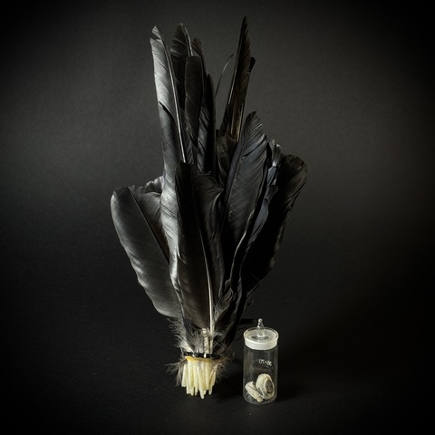 Перья и глаза вОрона