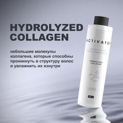 Limba Cosmetics Активатор  Activator Hydrolyzed Collagen, 250 мл (lmb08)