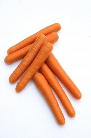 Нантская Болеро F1 семена моркови нантской (Vilmorin / Вильморин) Болеро_F1_семена_овощей_оптом.jpg