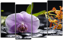 Модульная картина "Орхидея и черные камни"