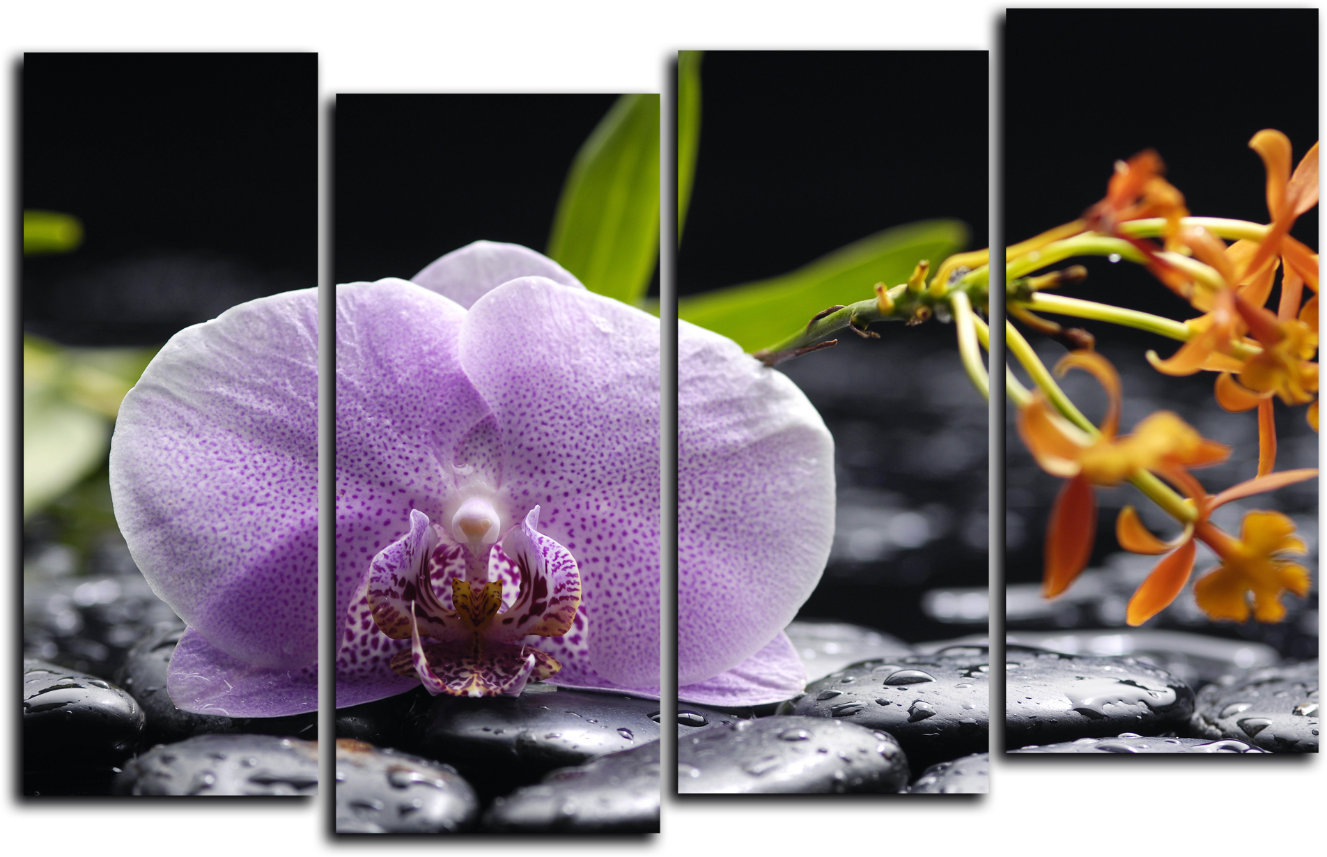 Цветы Модульная картина "Орхидея и черные камни" М761.png