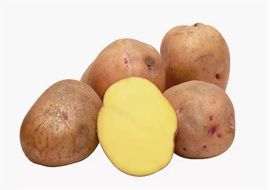 Картофель округлой формы. Картофель розовый. Картофель круглый. Картофель красный внутри. Картофель красный с желтой мякотью.