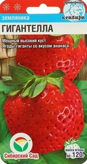 Семена Земляника Гигантелла