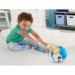 Fisher Price Ежик «Подбрось и поймай» (FLP98)