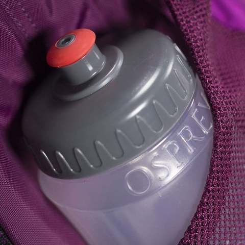 Картинка рюкзак городской Osprey daylite 13 Amulet Purple - 9