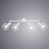 Спот Arte Lamp Sospiro A6141PL-4WH