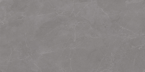 Staro Rizzi Valencia Grey Matt 60x120