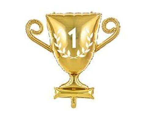 ПД Фигура, Кубок 1 место, 25