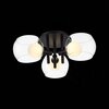 Светильник потолочный ST Luce Elleto SL1483.402.03