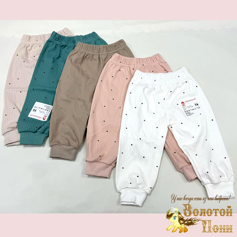 Штанишки хлопок (74-92) 250310-NV1070