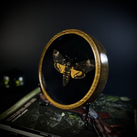 Бражник «Мёртвая голова»