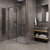 Timo T49R Timo Душевая дверь TDSS-130/13C-8R, раздвиж 1300*2000, проф никель, стекло проз 8 мм (T49R)
