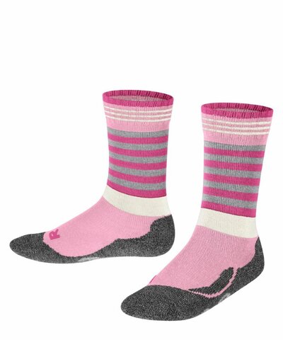 Носки Active Frog FALKE 11943/8541