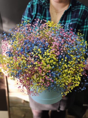 Коробка с радужной гипсофилой