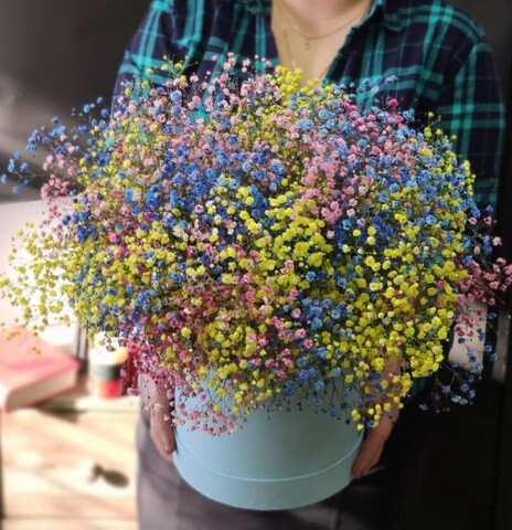 Коробка с радужной гипсофилой