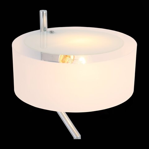 Настольная лампа ST Luce Foresta SL483.504.01