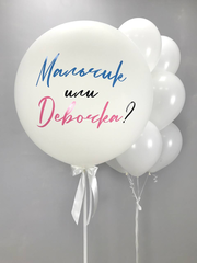 Композиция "Гендер вечеринка" (шар без наполнения)