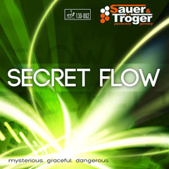 SAUER & TROGER Secret Flow