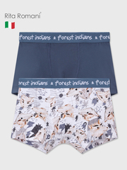 3604 Набор из 2 трусов из хлопка