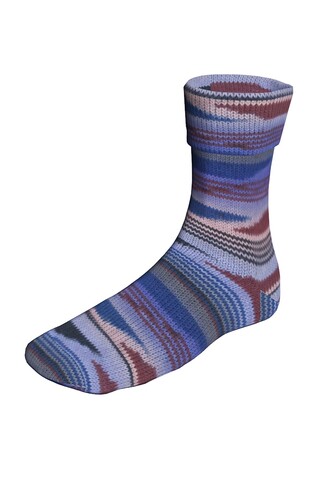 Lang Yarns Super Soxx Color 401