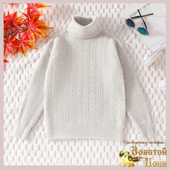 Свитер хлопок м (7-12) 240916-S990171