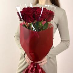 Розы эксплорер