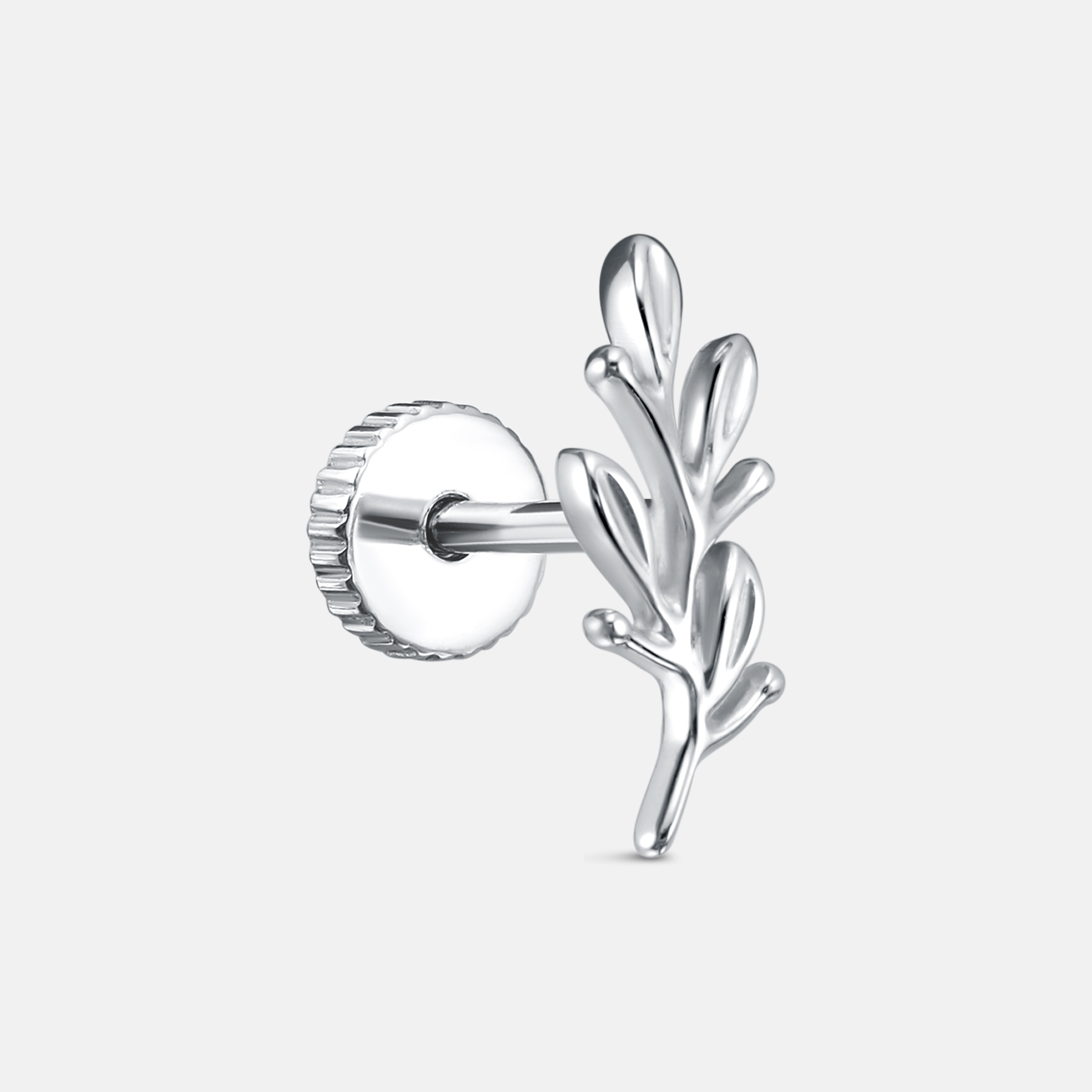 Пирсинг Ветвь