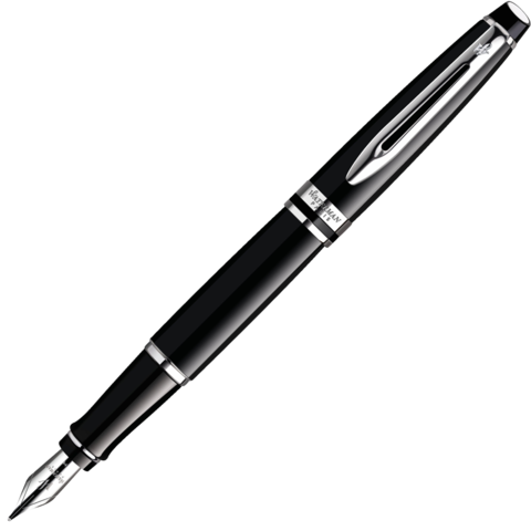 Ручка перьевая Waterman Expert Black CT, F (S0951740)