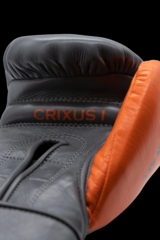 Боксерские тренировочные перчатки Empire Crixus l (липучка) 12 и 14 унций