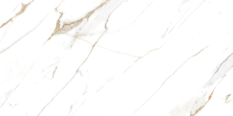 Kevis Holand White Polished 60x120