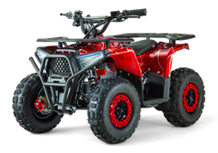 Детский электрический квадроцикл RiverToys MIKA LUX 1000W