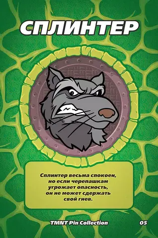 Пин 