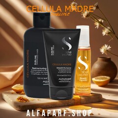 Процедура восстановления со стволовыми клетками