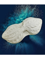 Молды 