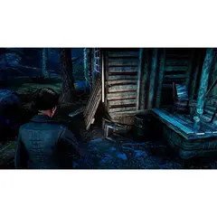 Agatha Christie: Murder on the Orient Express (диск для PS4, интерфейс и субтитры на русском языке)