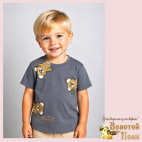 Футболка хлопок м (2-5) 260416-N650