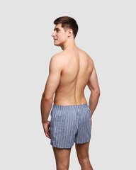 Трусы-боксеры мужские Dim Basic D05GY