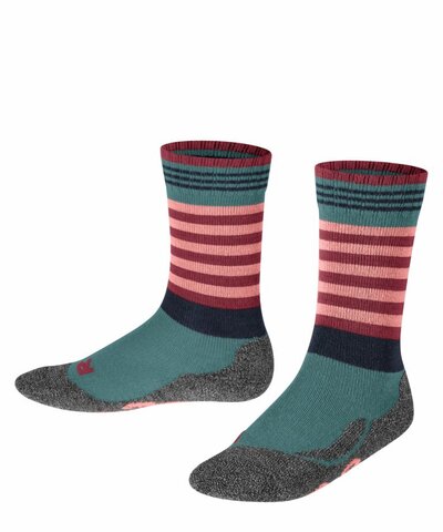 Носки Active Frog FALKE 11943/7673