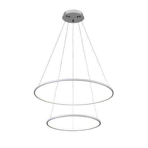 Светильник подвесной ST Luce Erto SL904.503.02