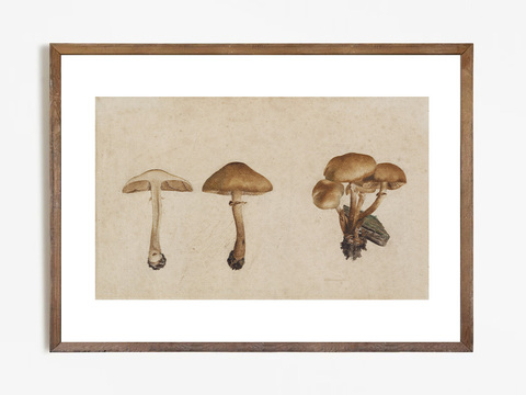 Арт принт 'Funghi'