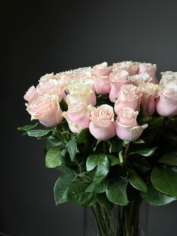 Розы поштучно «Pink mondial» (Эквадор)