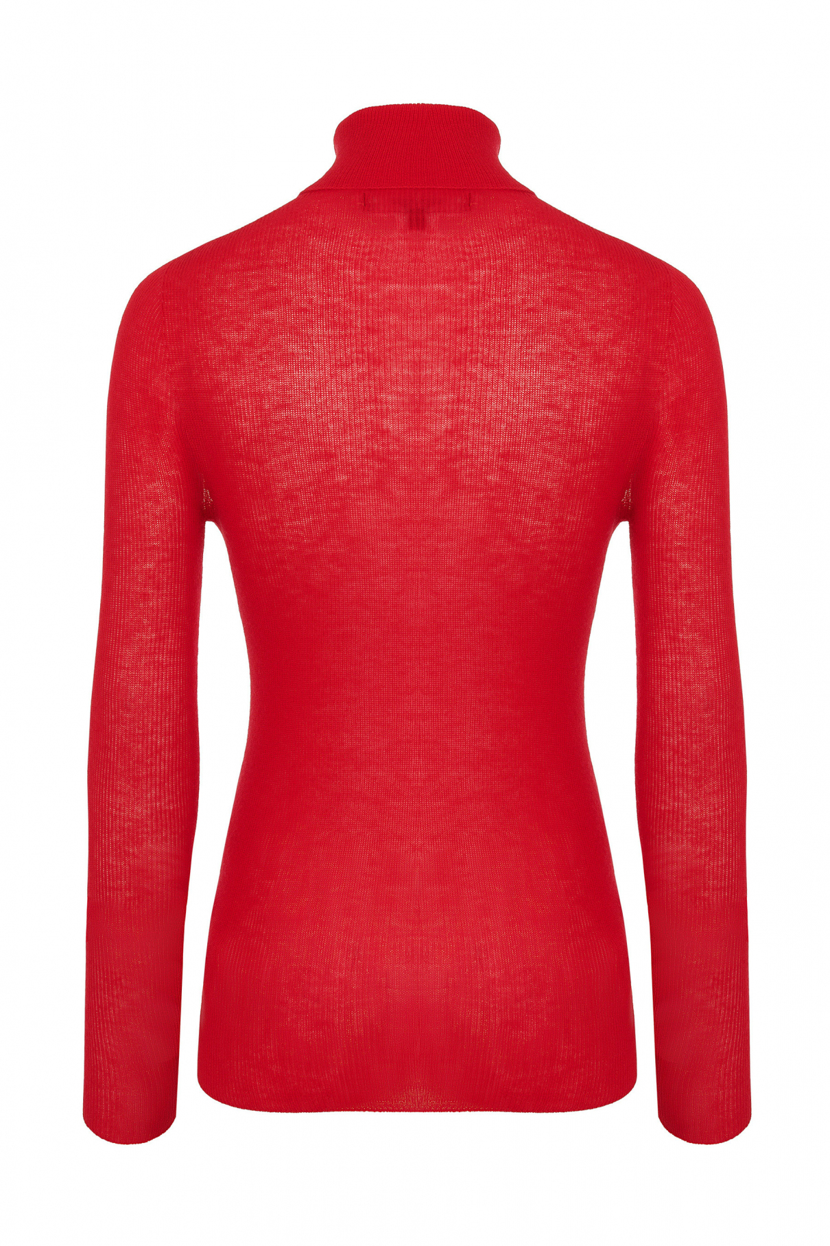 Водолазка Male